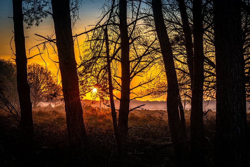 Beginning of the day by Wendy van Kuler Fotografie