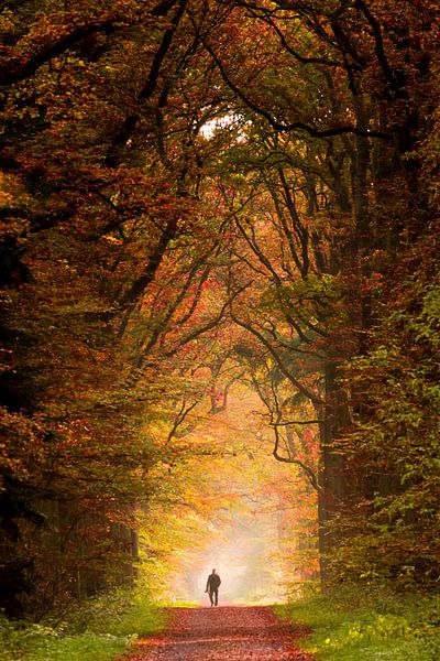 Heeze 46 von Deshamer