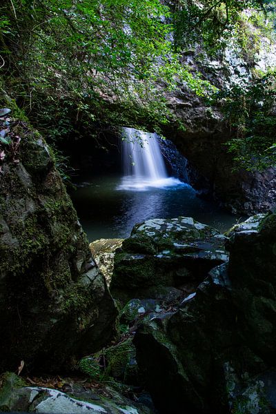 New South Wales, Australie, Waterval, Natural Bridge, Springbrook National Park par Willem Vernes
