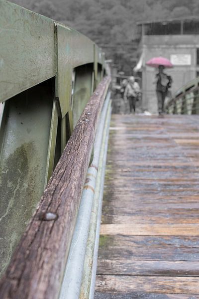 brug par Annemiek Tamminga