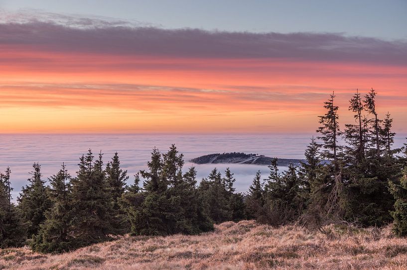 Harzer Nebel von Patrice von Collani