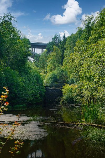 Lake in Sweden with white clouds, blue water and trees on the shore by Martin Köbsch