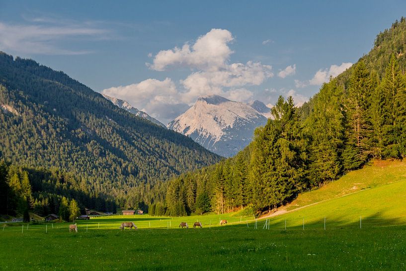 Wunderschönes Alpenpanorama in Tirol von Oliver Hlavaty