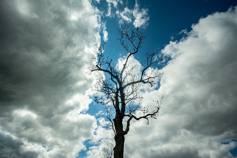 Paysage dans l'Erzgebirge par Johnny Flash