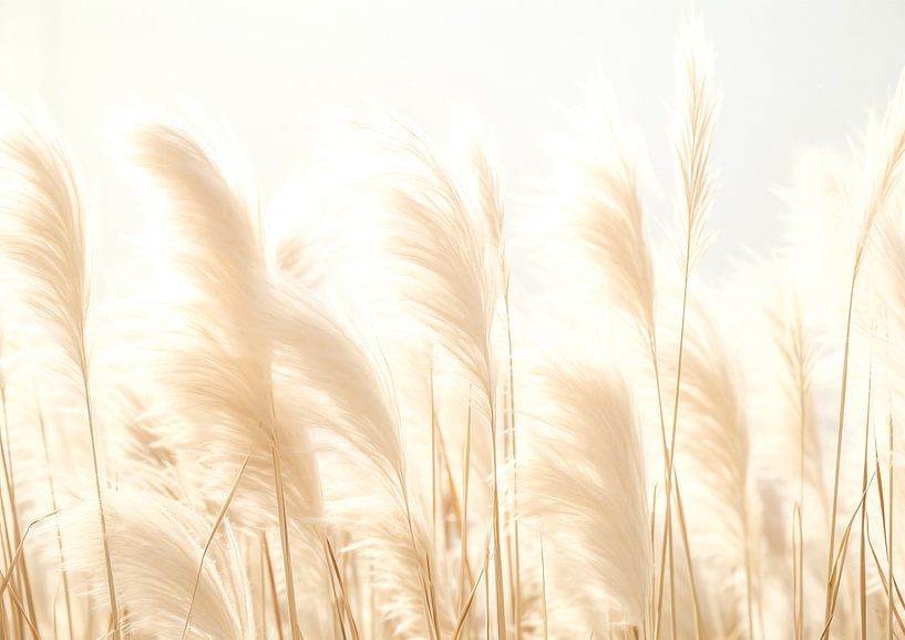 Whispering Plume von Steffen Gierok