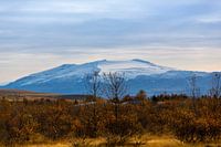 Autumn scenery Iceland