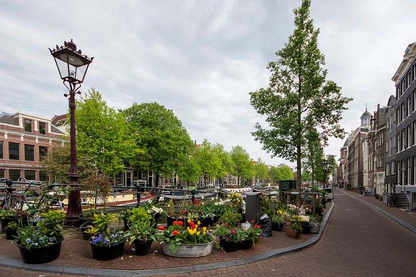 Le pouvoir des fleurs par Peter Bartelings