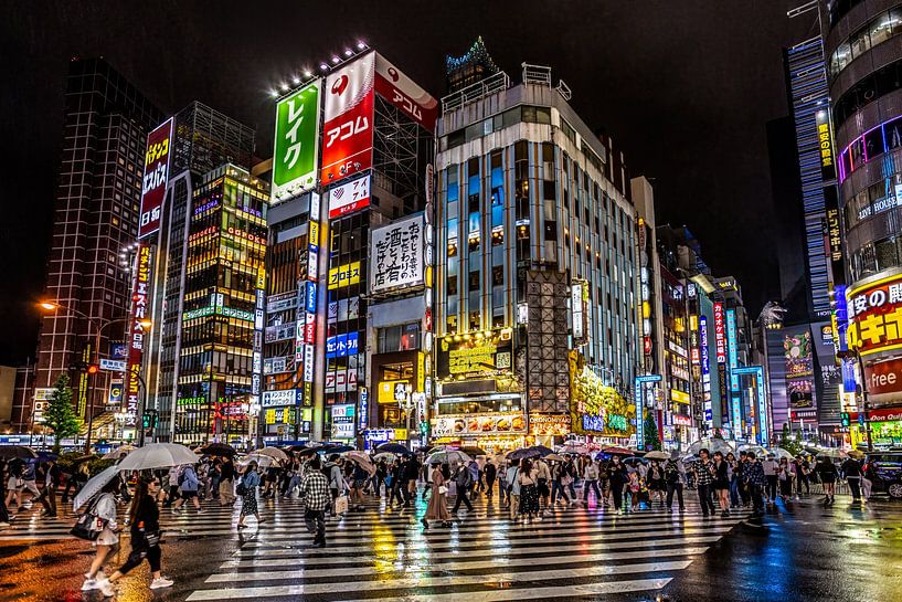 Japan - Rainy Tokyo by night. by Thomas van der Willik
