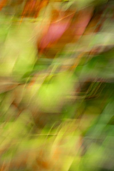 Abstraktes Herbstblatt in Grün und Rot - Natur- und Reisefotografie von Christa Stroo photography
