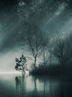 Belle lumière à l'Oisterwijkse Vennen