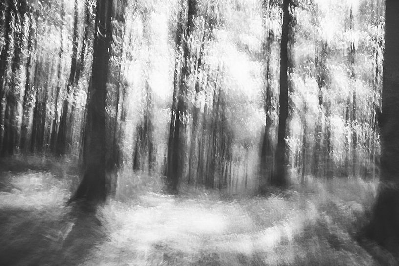 Lost in the woods - abstract infrared photograph by Patrik Lovrin
