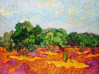 Olivenbäume mit blauem Himmel - Vincent van Gogh - 1889