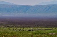 View of the Ngorongoro Crater