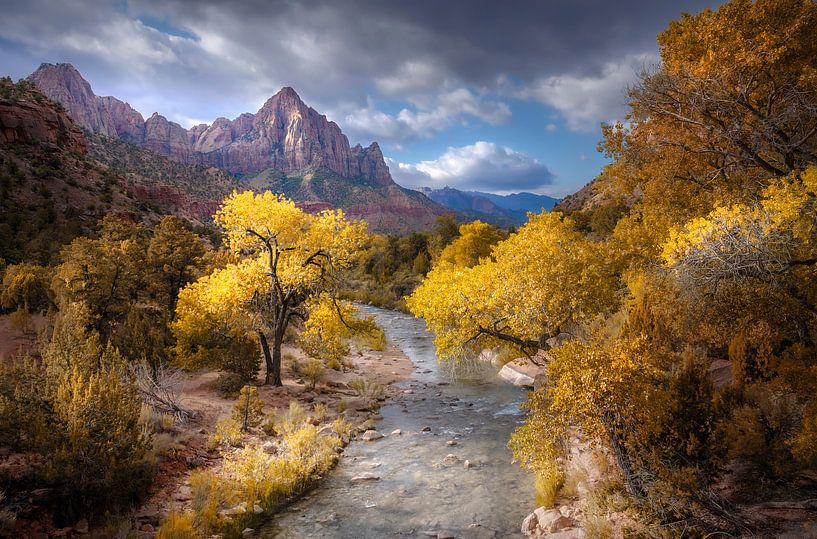 Zion national park von Rob Visser