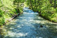 Brook to the Fernsteinsee