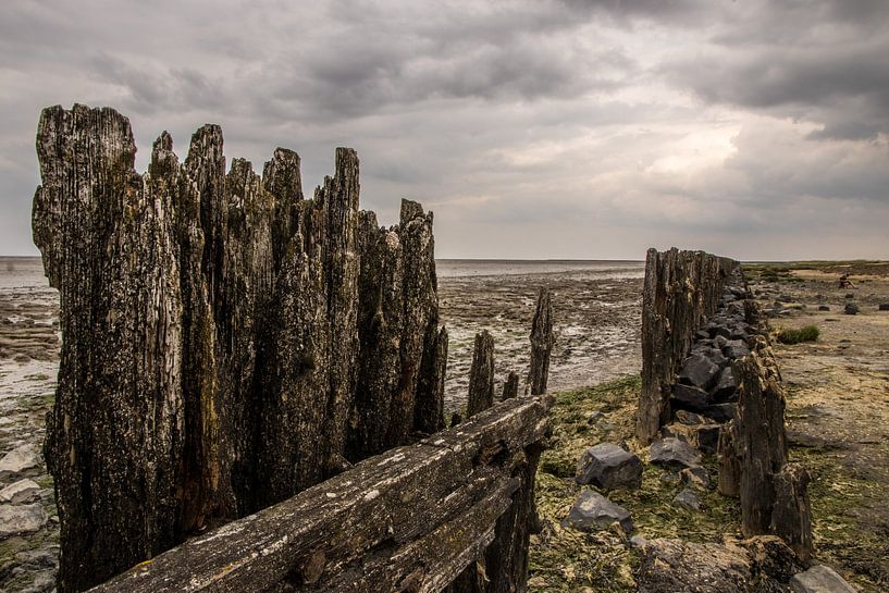 Wattenküste von Hans Hoekstra