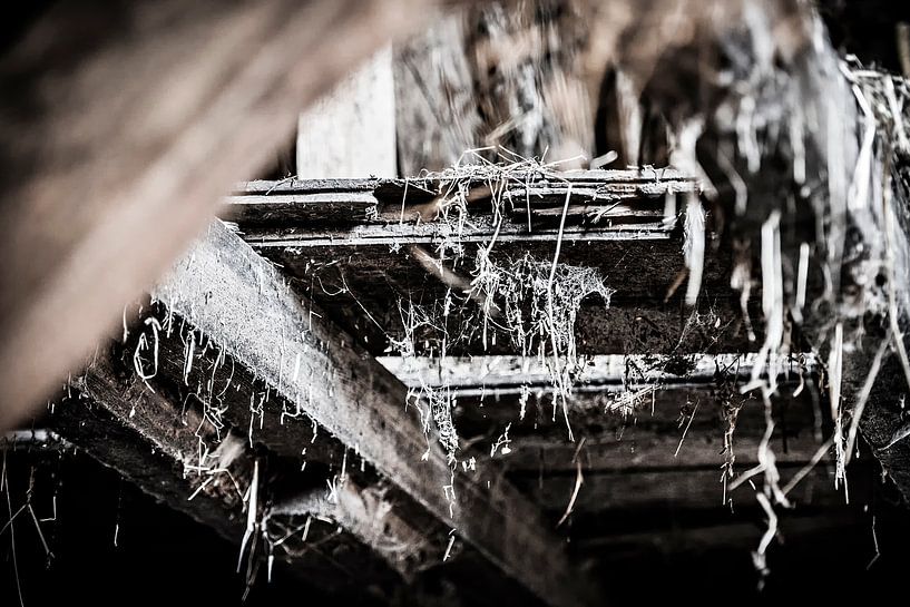 Old Farm #4 by Cristel Brouwer