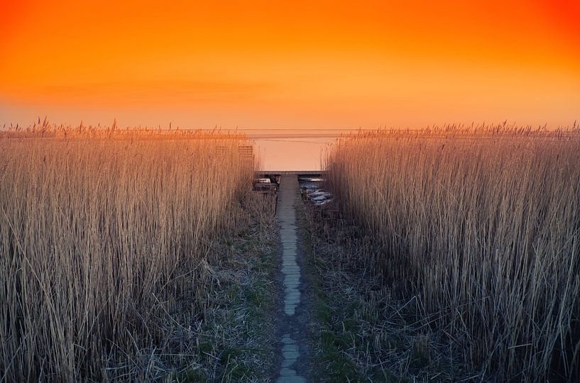 Frozen fjord by Bo Valentino