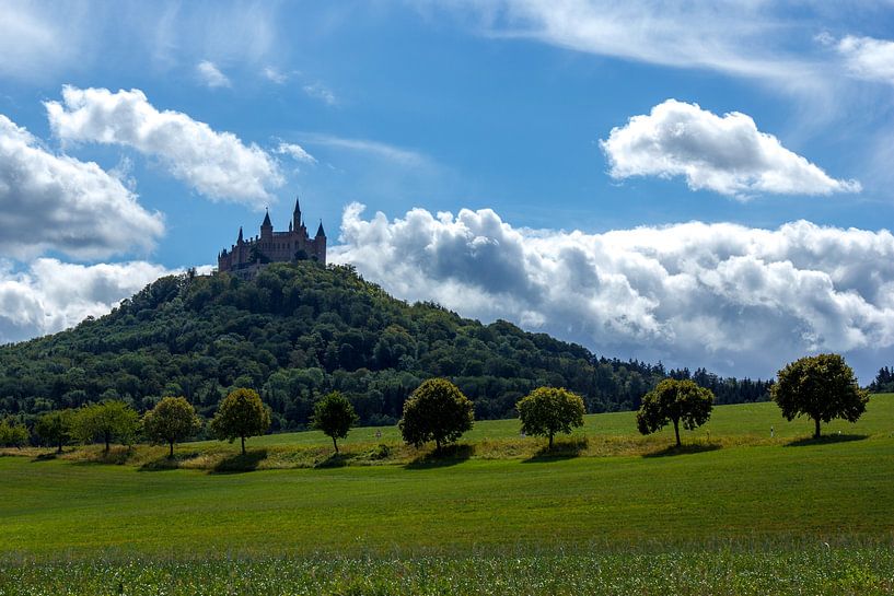 Kasteel Hohenzollern van Ferry D