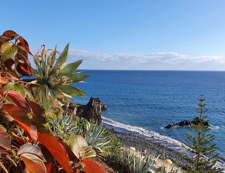 Madeira #24 von zam art