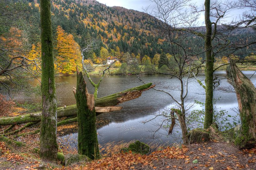 Vosges par Wim Slootweg