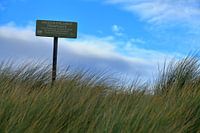 Studie: De Kaloot, Borssele - Zeeland