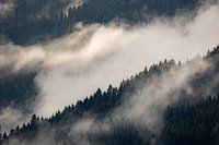 Foggy Magic: Mountain scenery in Austria