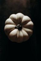White pumpkin