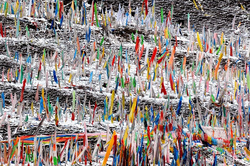 Whispers on the Wind by Fabrizio Gallo