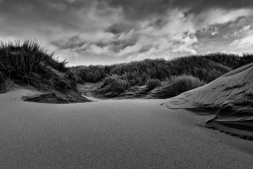 Dünen von Karin Bijl