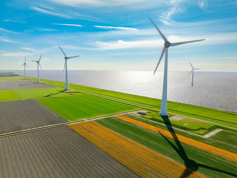 Tulpen auf landwirtschaftlichen Feldern mit Windrädern im Hintergrund von Sjoerd van der Wal Fotografie