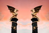 Den Drachenbrunnen in 's-Hertogenbosch