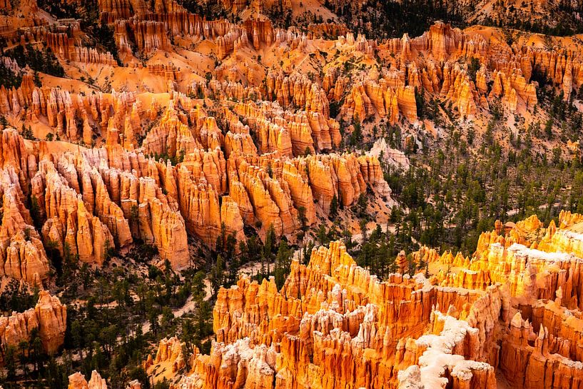 Landschaft Amphitheater mit Hoodoos im Bryce Canyon Nationalpark Utah USA von Dieter Walther