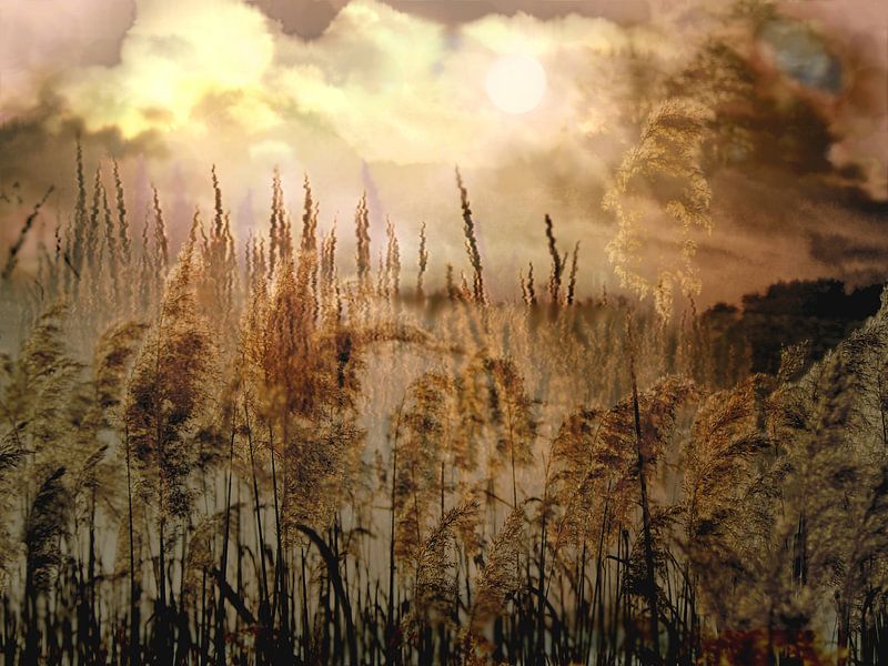 Erinnerung an einen Traum von Heidrun Carola Herrmann