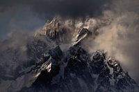 auf den Flügeln des Adlers