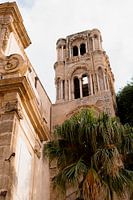 Kerk in Palermo Sicilië met palmboom.