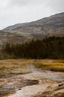 Naturporträt in Island