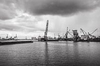 Port de Rotterdam 