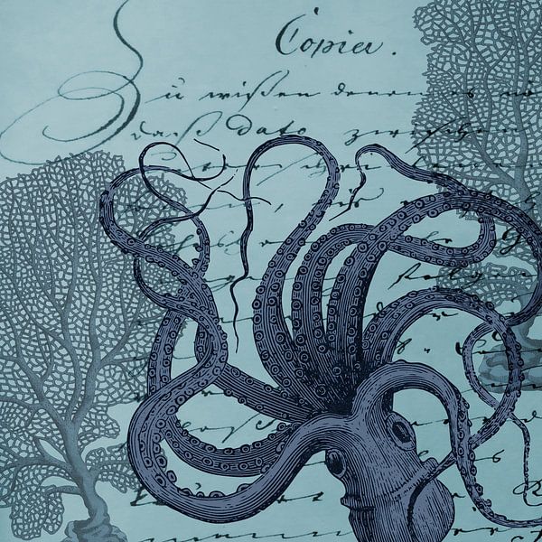 Der Oktopus von christine b-b müller