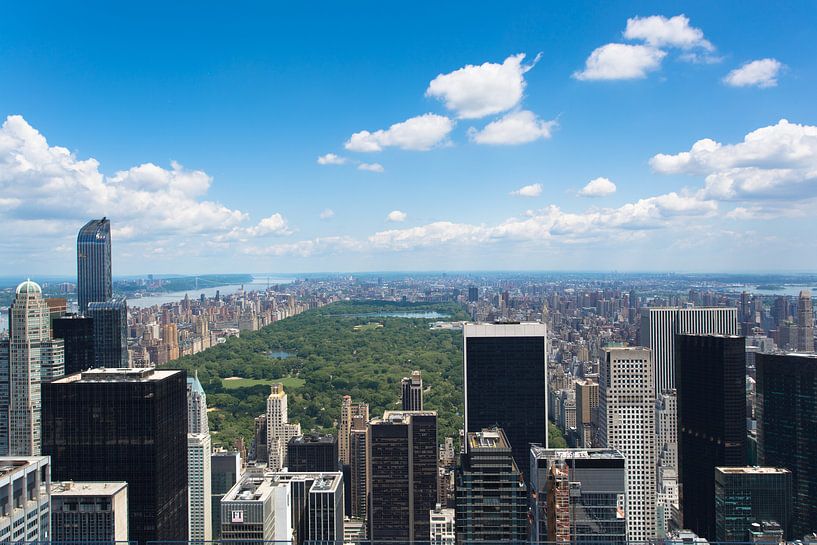 Blick über den Central Park, New York von Capture the Light