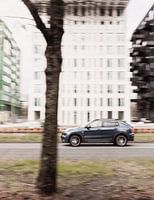 Car and tree in Amsterdam, Netherlands, Photography, Aaya Photographs