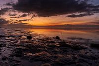 Good morning really does exist!