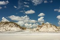 Düne am Anastasia Strand in der Nähe von Saint Augustine in Florida