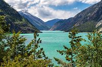 Türkisgrüner Seton Lake bei Lillooet in British Columbia, Kanada.