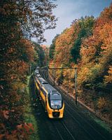 Train à travers les paysages d'automne à Oosterbeek