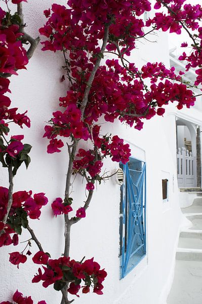 L'été à Santorin par haroulita