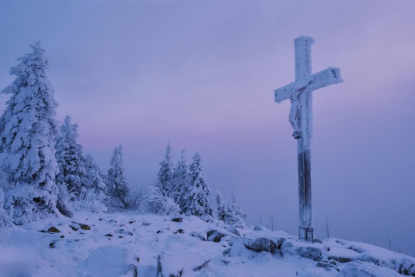 Winter am Lusen - Bayerischer Wald von Julia Buhl