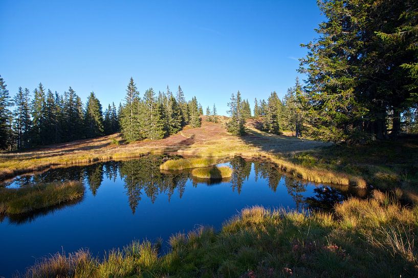 Herbstliche Naturlacke von Christa Kramer