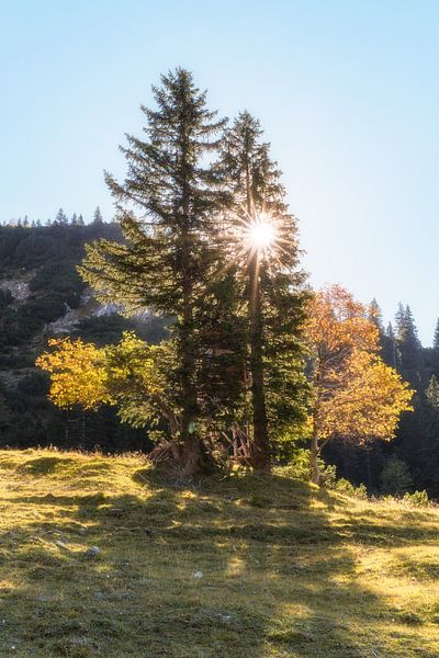Wandern im Herbst in den Ammergauer Alpen bei strahlend Blauer Himmel von Daniel Pahmeier