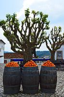 Oranges en Portugal